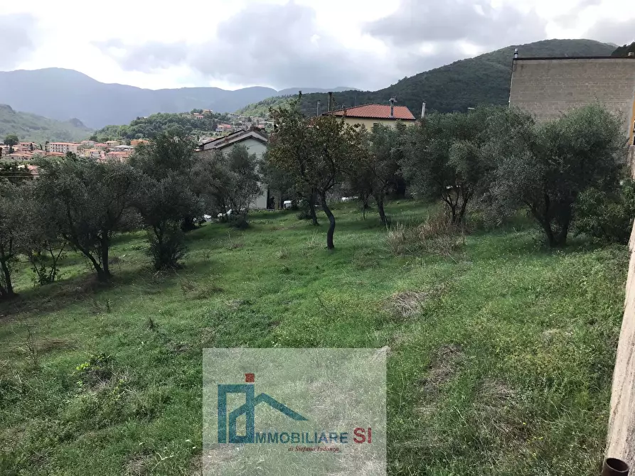 Immagine 2 di Terreno agricolo in vendita  in Via Cupetelle a Cautano