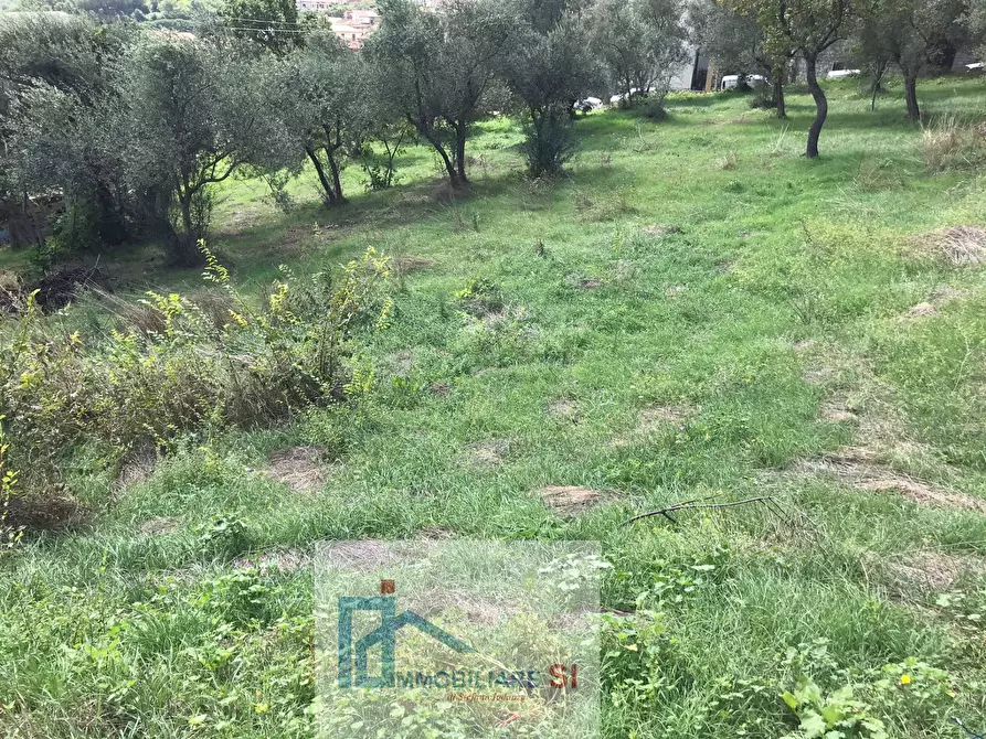 Immagine 3 di Terreno agricolo in vendita  in Via Cupetelle a Cautano