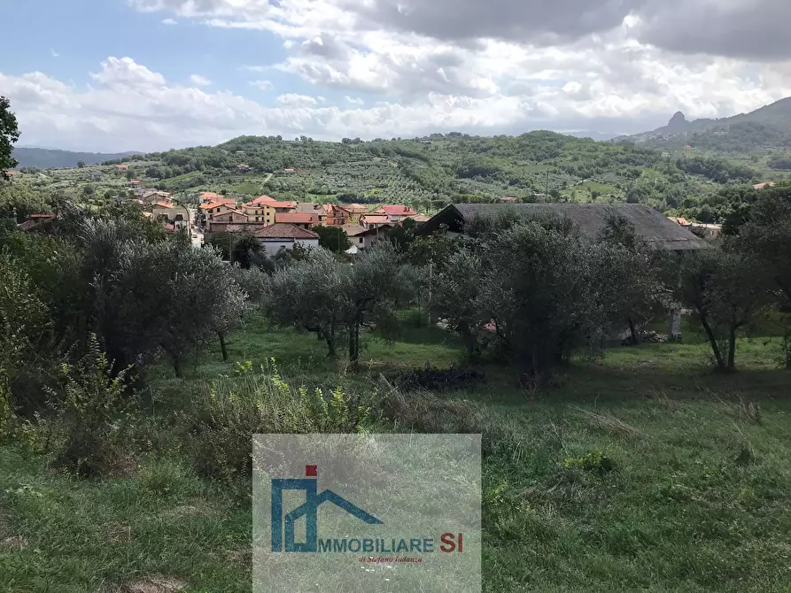 Immagine 4 di Terreno agricolo in vendita  in Via Cupetelle a Cautano