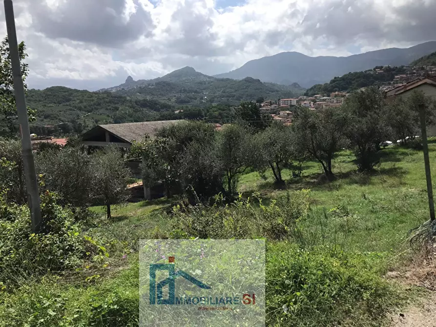 Immagine 7 di Terreno agricolo in vendita  in Via Cupetelle a Cautano