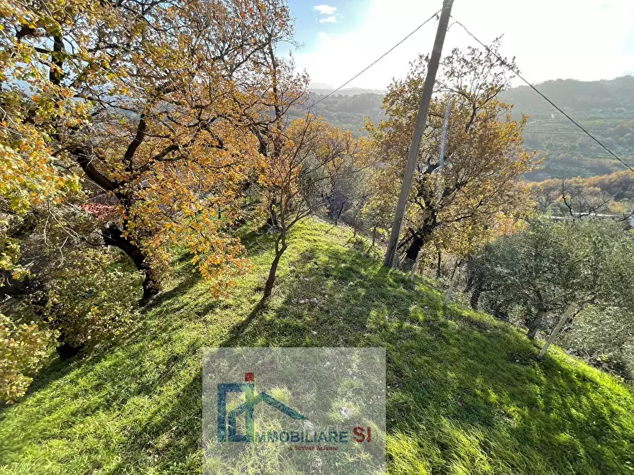 Immagine 25 di Casa indipendente in vendita  in Via delle Rimembranze Prima Traversa a Cautano