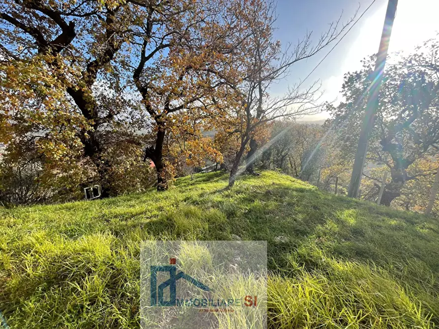 Immagine 8 di Casa indipendente in vendita  in Via delle Rimembranze Prima Traversa a Cautano