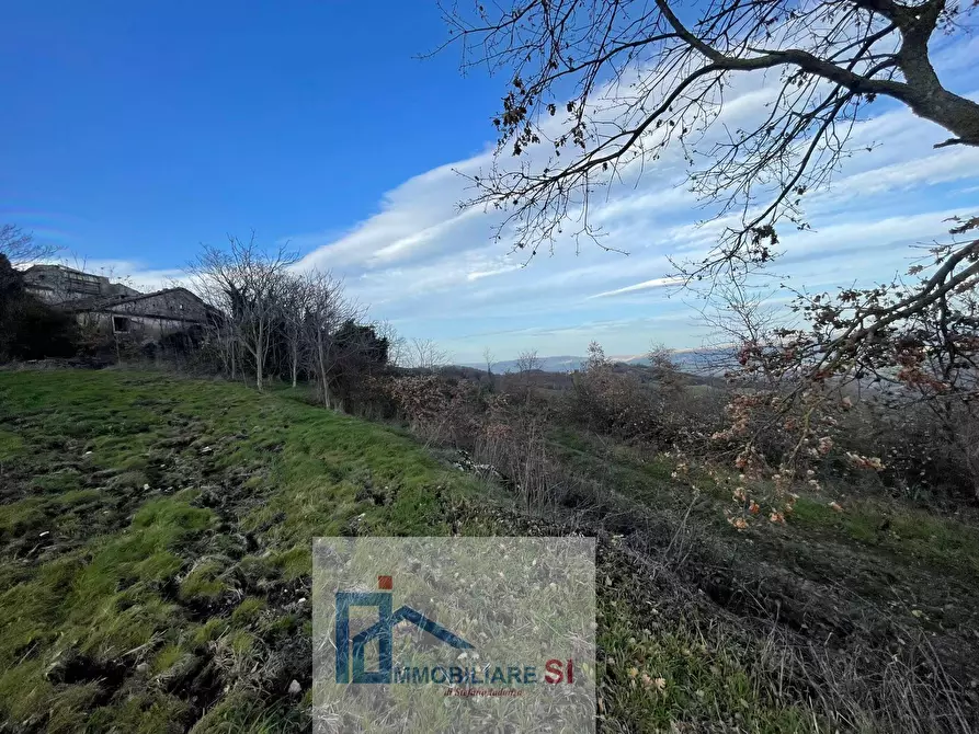 Immagine 7 di Terreno agricolo in vendita  a Riccia