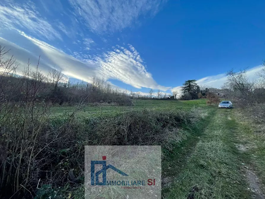 Immagine 8 di Terreno agricolo in vendita  a Riccia