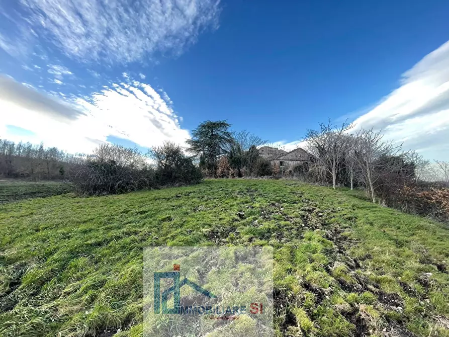 Immagine 2 di Terreno agricolo in vendita  a Riccia
