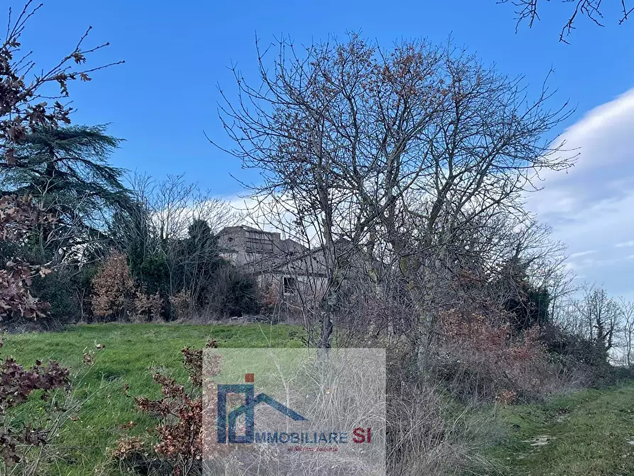 Immagine 9 di Terreno agricolo in vendita  a Riccia