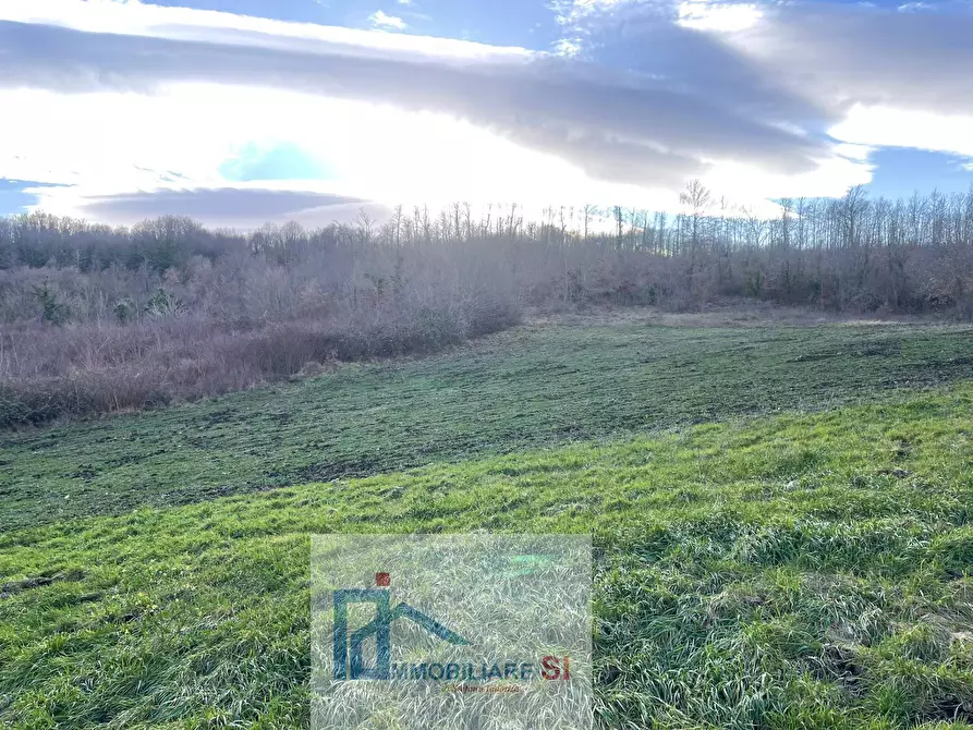 Immagine 10 di Terreno agricolo in vendita  a Riccia