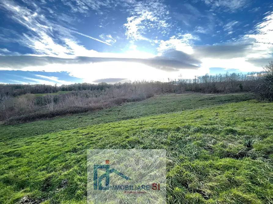 Immagine 6 di Terreno agricolo in vendita  a Riccia