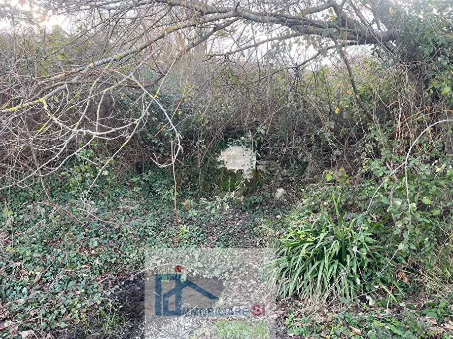 Immagine 13 di Terreno agricolo in vendita  a Riccia