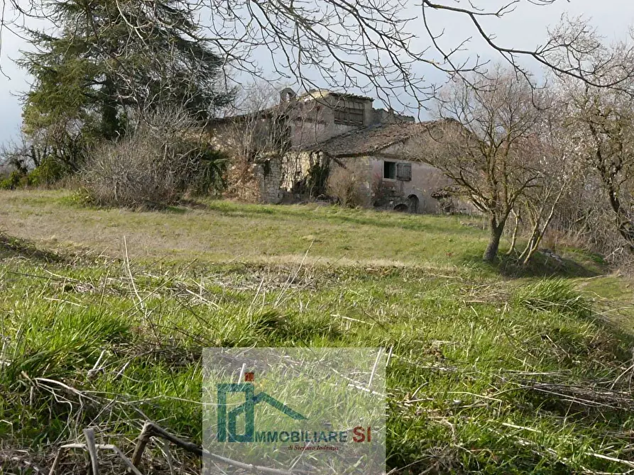 Immagine 3 di Terreno agricolo in vendita  a Riccia
