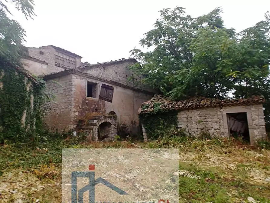 Immagine 4 di Terreno agricolo in vendita  a Riccia