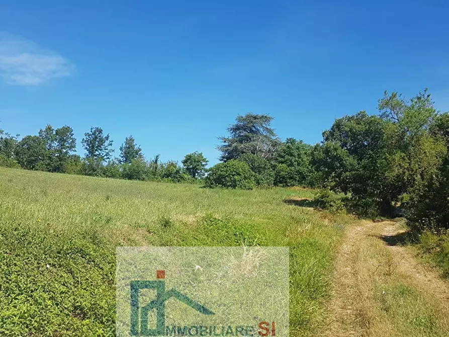 Immagine 11 di Terreno agricolo in vendita  a Riccia