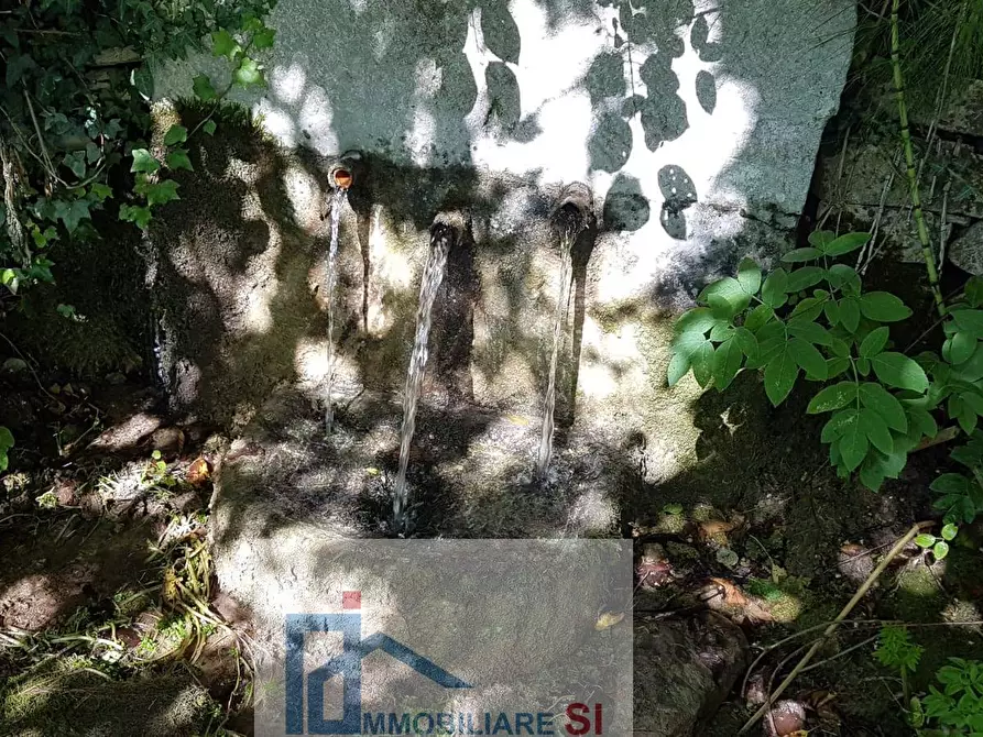 Immagine 14 di Terreno agricolo in vendita  a Riccia