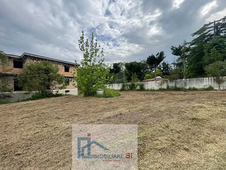 Immagine 3 di Casa indipendente in vendita  in Contrada Mezzacapo a San Nicola Manfredi