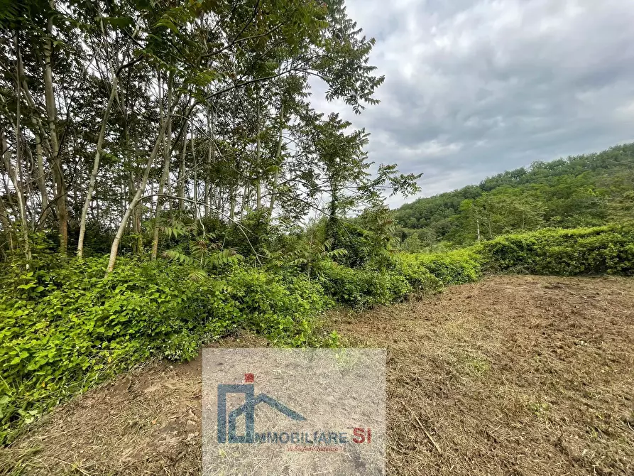 Immagine 12 di Casa indipendente in vendita  in Contrada Mezzacapo a San Nicola Manfredi