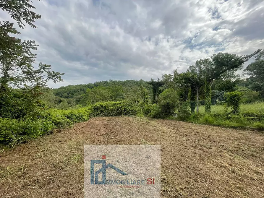 Immagine 11 di Casa indipendente in vendita  in Contrada Mezzacapo a San Nicola Manfredi