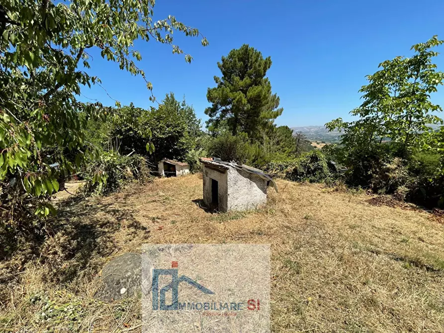 Immagine 41 di Casa indipendente in vendita  in Contrada Pino a Benevento