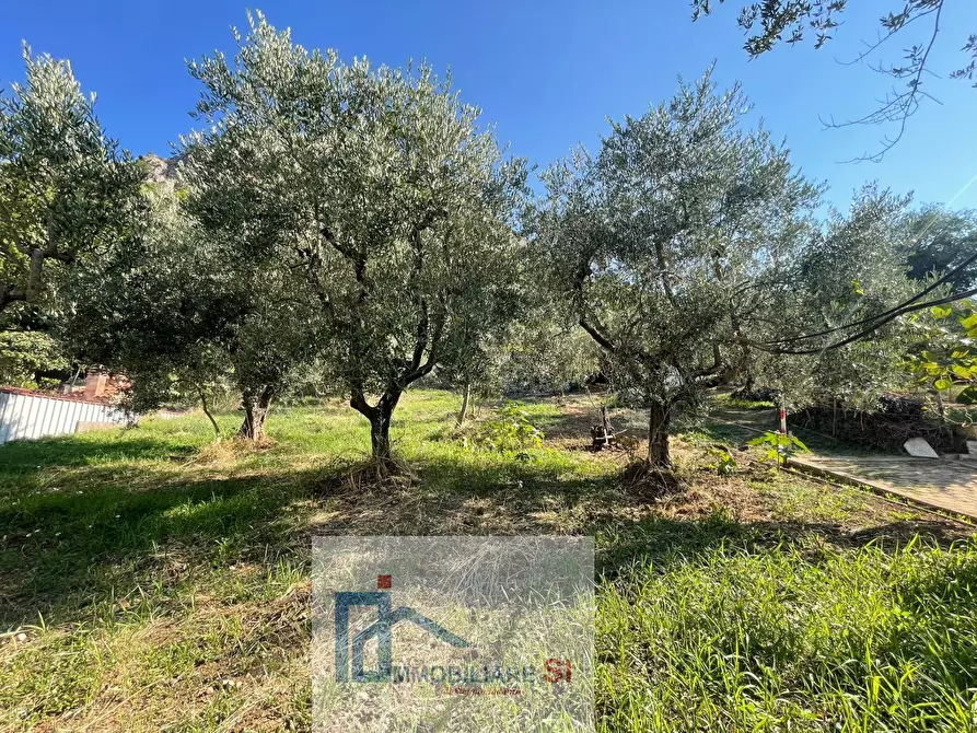 Immagine 4 di Casa semindipendente in vendita  in Via Palazzo a Foglianise