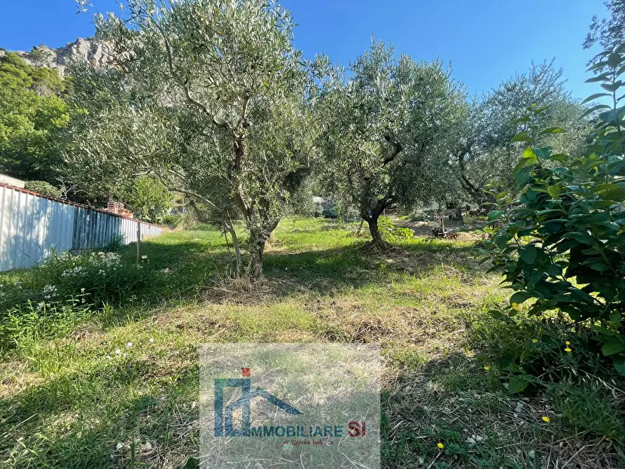 Immagine 51 di Casa semindipendente in vendita  in Via Palazzo a Foglianise