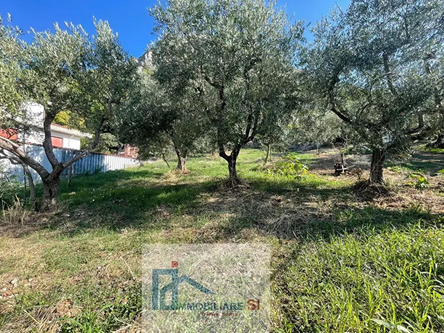 Immagine 50 di Casa semindipendente in vendita  in Via Palazzo a Foglianise