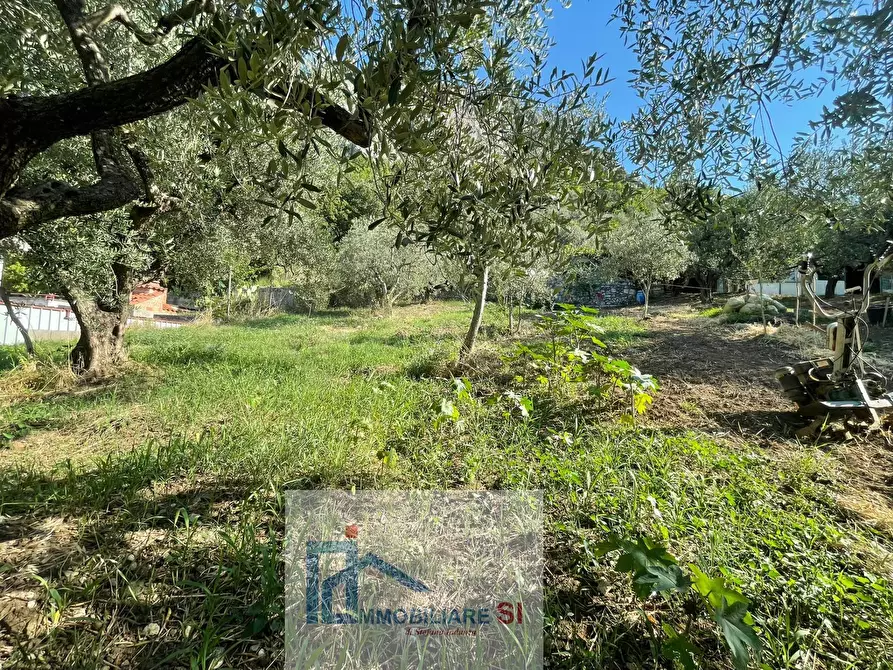 Immagine 49 di Casa semindipendente in vendita  in Via Palazzo a Foglianise