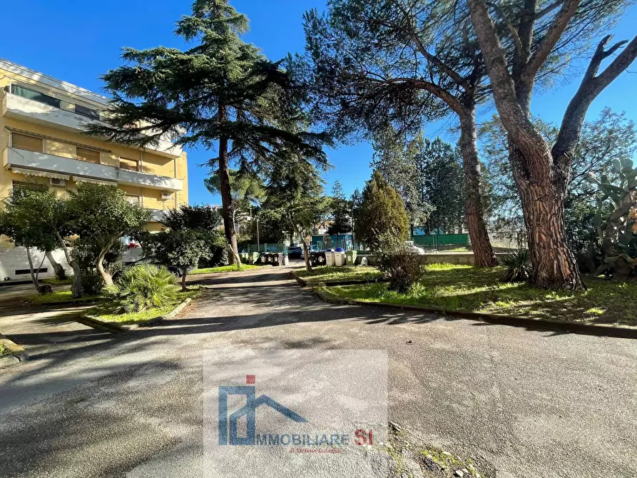 Immagine 14 di Ufficio in affitto  in Viale Atlantici a Benevento