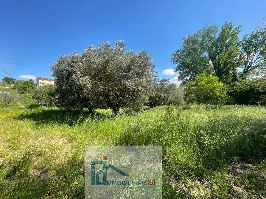 Immagine 25 di Terreno agricolo in vendita  in Via Creta Rossa a Benevento