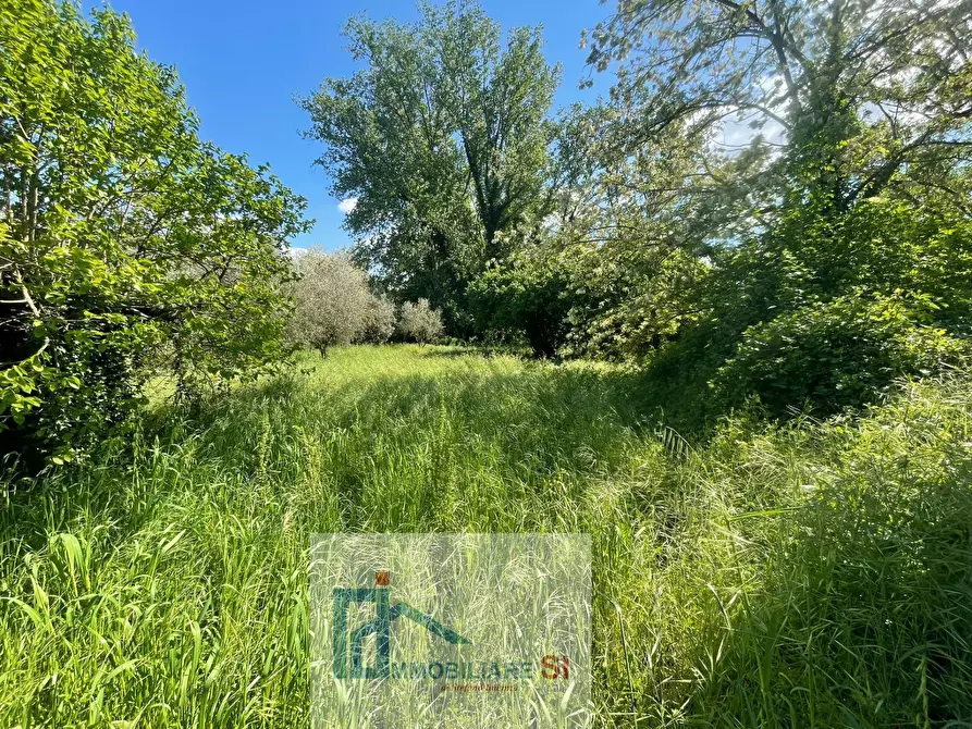 Immagine 26 di Terreno agricolo in vendita  in Via Creta Rossa a Benevento
