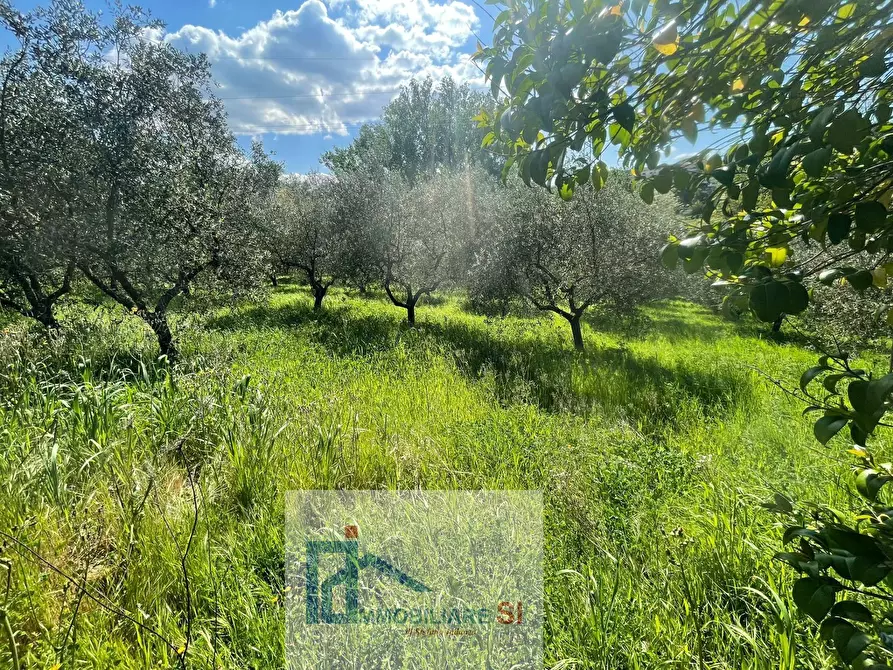 Immagine 4 di Terreno agricolo in vendita  in Via Creta Rossa a Benevento