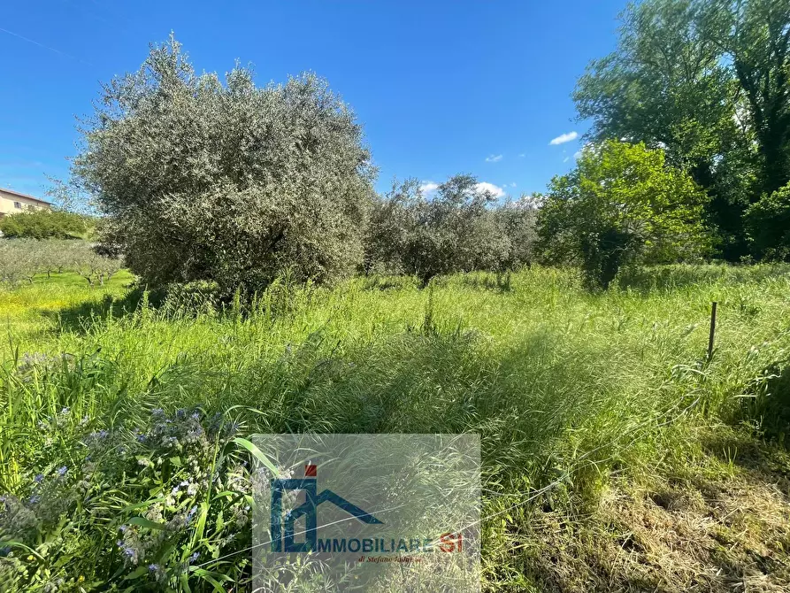 Immagine 6 di Terreno agricolo in vendita  in Via Creta Rossa a Benevento