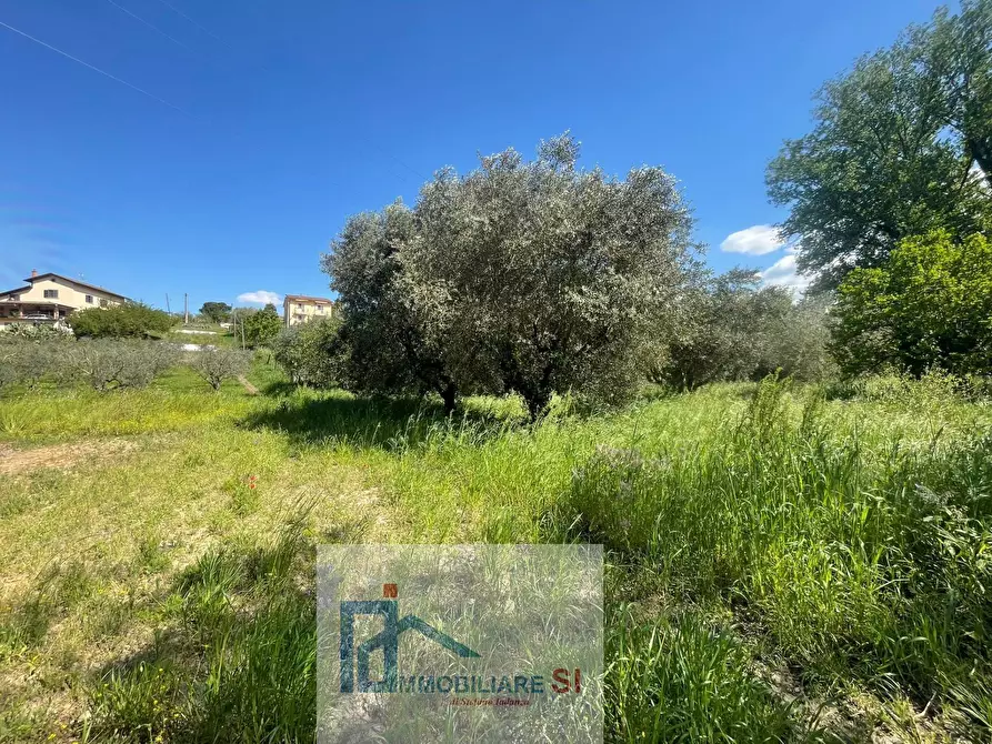 Immagine 5 di Terreno agricolo in vendita  in Via Creta Rossa a Benevento