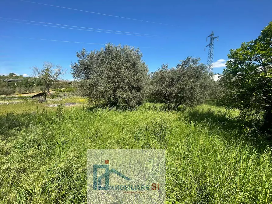 Immagine 7 di Terreno agricolo in vendita  in Via Creta Rossa a Benevento