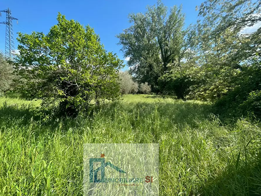 Immagine 18 di Terreno agricolo in vendita  in Via Creta Rossa a Benevento