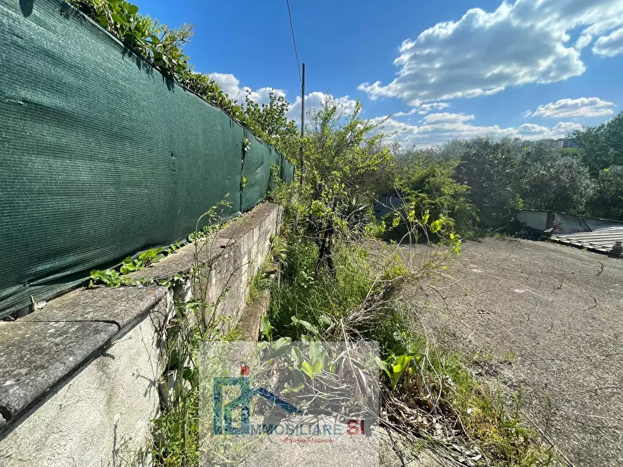 Immagine 16 di Terreno agricolo in vendita  in Via Creta Rossa a Benevento