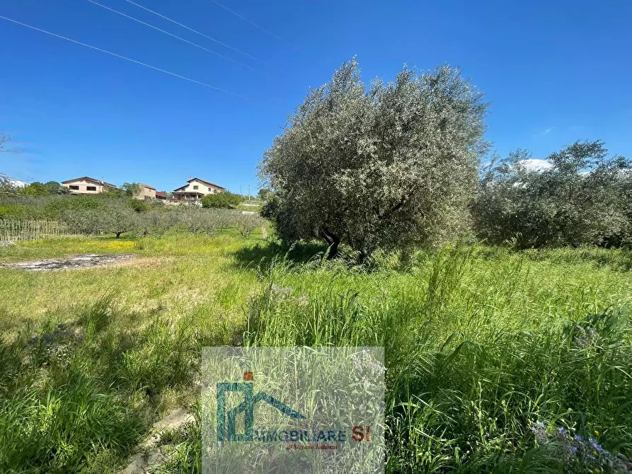 Immagine 19 di Terreno agricolo in vendita  in Via Creta Rossa a Benevento