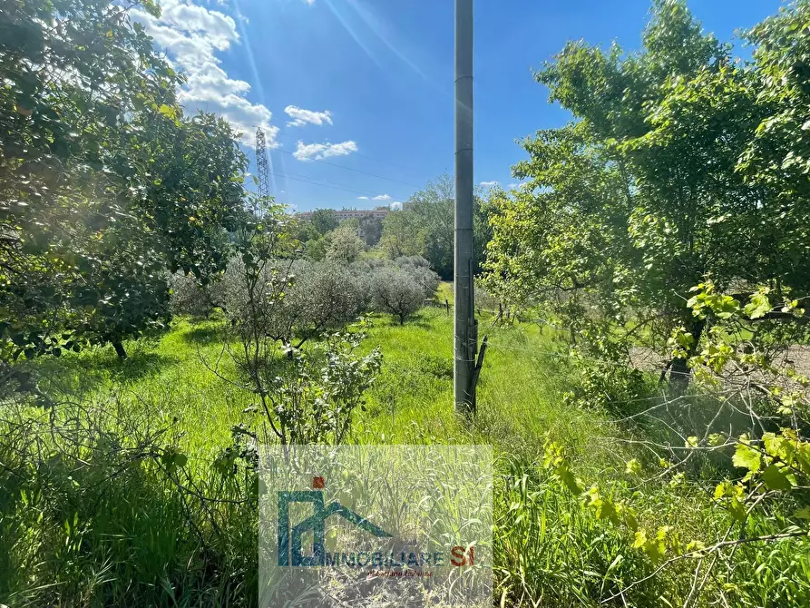 Immagine 20 di Terreno agricolo in vendita  in Via Creta Rossa a Benevento