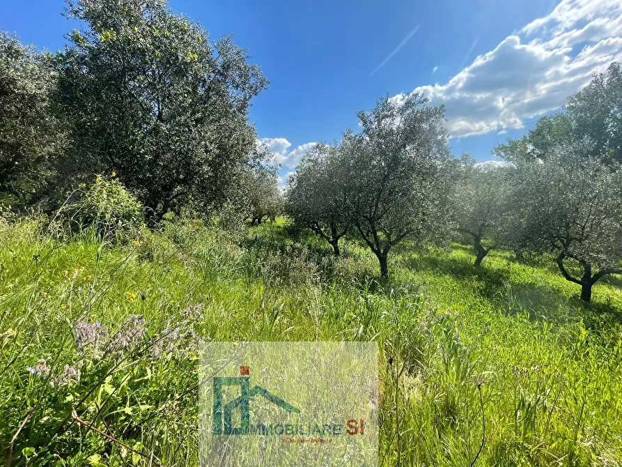 Immagine 21 di Terreno agricolo in vendita  in Via Creta Rossa a Benevento