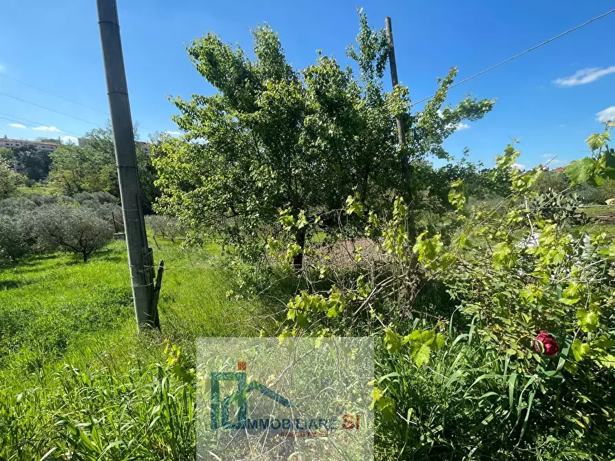 Immagine 22 di Terreno agricolo in vendita  in Via Creta Rossa a Benevento