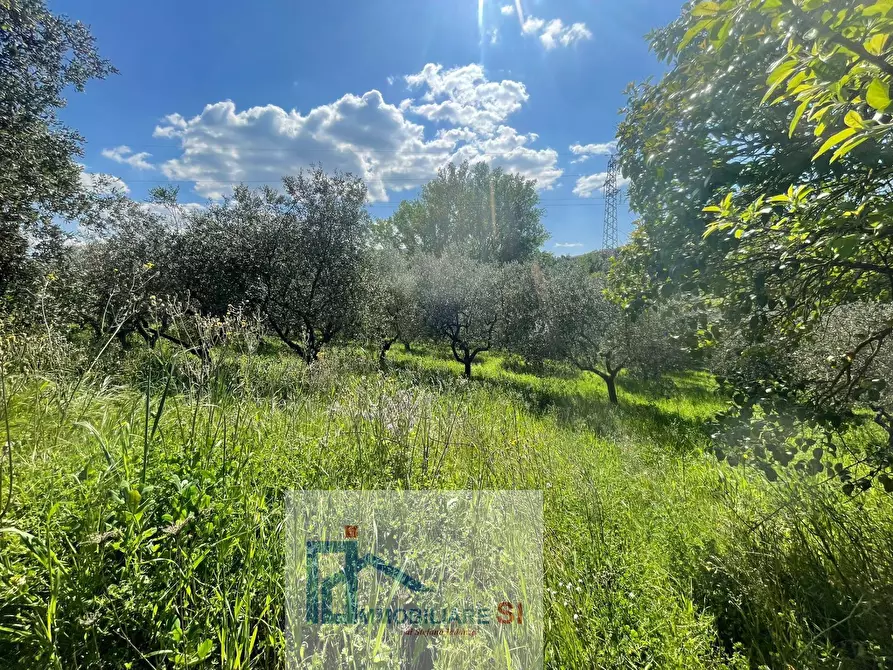 Immagine 23 di Terreno agricolo in vendita  in Via Creta Rossa a Benevento