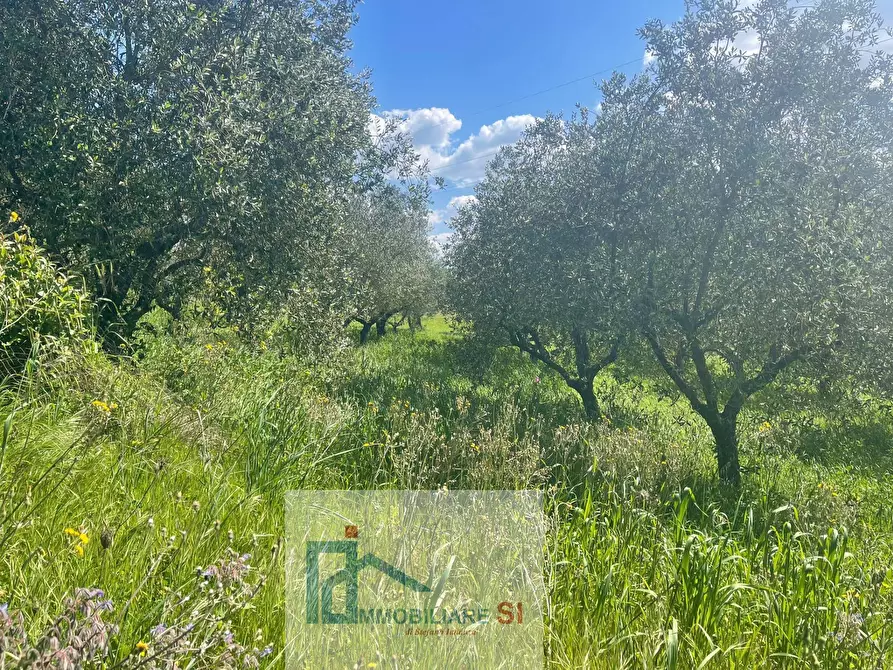 Immagine 24 di Terreno agricolo in vendita  in Via Creta Rossa a Benevento