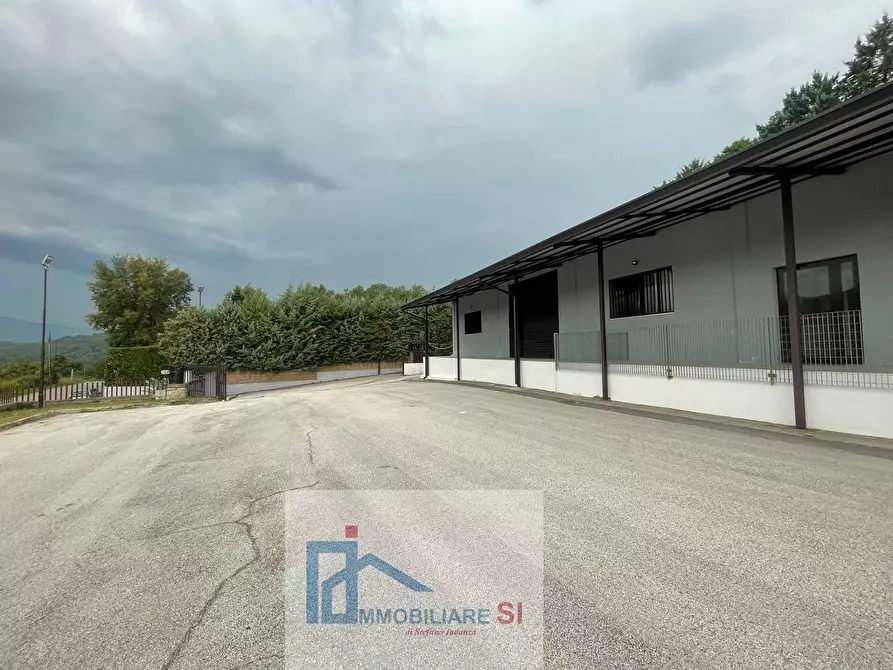 Immagine 23 di Capannone industriale in affitto  in Via Appia Antica a Apollosa