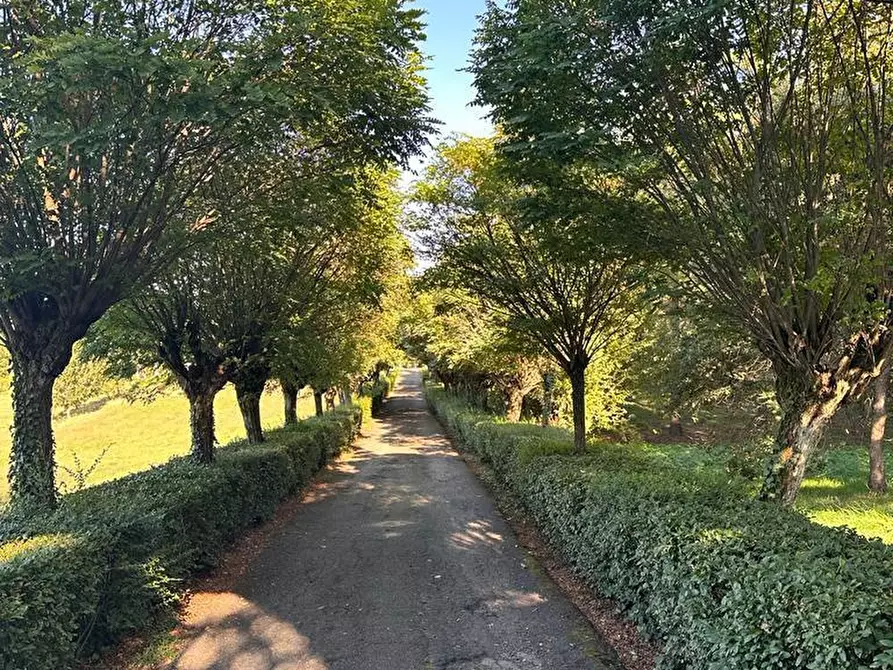 Immagine 1 di Villa in vendita  in cassano spinola 22 a Novi Ligure