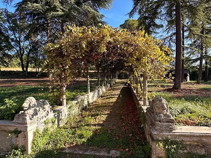 Immagine 4 di Villa in vendita  in cassano spinola 22 a Novi Ligure