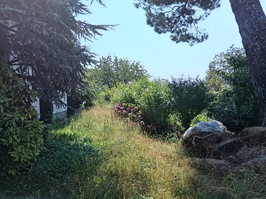 Immagine 6 di Villa in vendita  a Mioglia