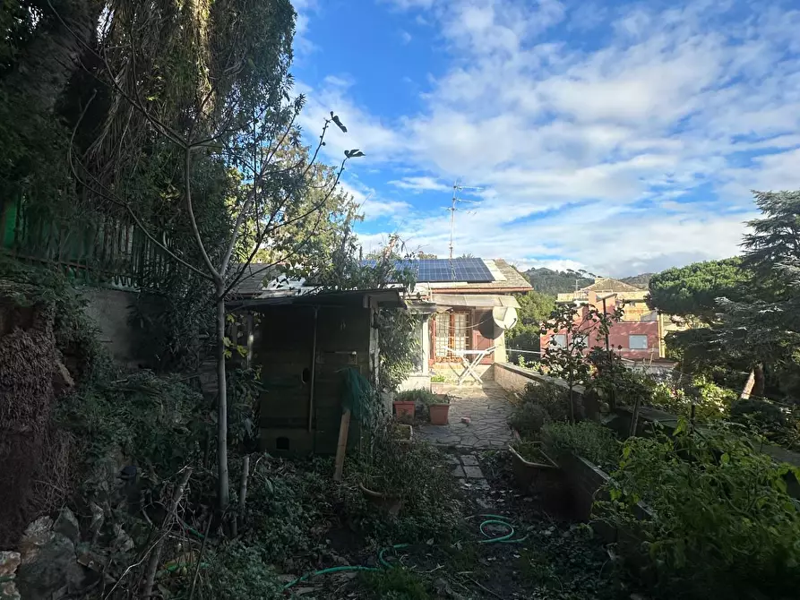 Immagine 23 di Villa in vendita  in Viale Modugno 16 a Genova