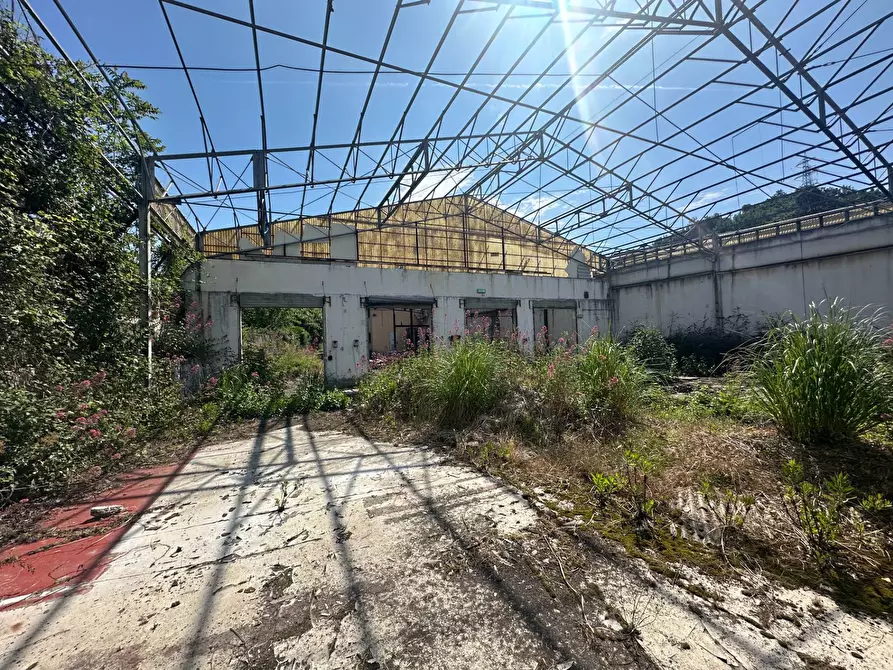 Immagine 3 di Capannone industriale in affitto  in Via Sardorella 16 a Genova