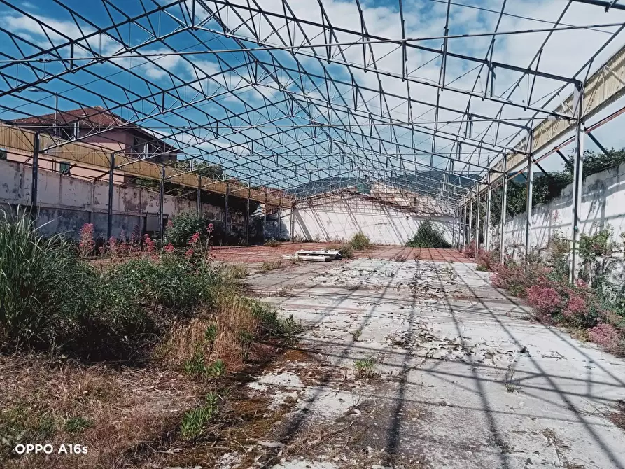 Immagine 4 di Capannone industriale in vendita  in via sardorella a Genova