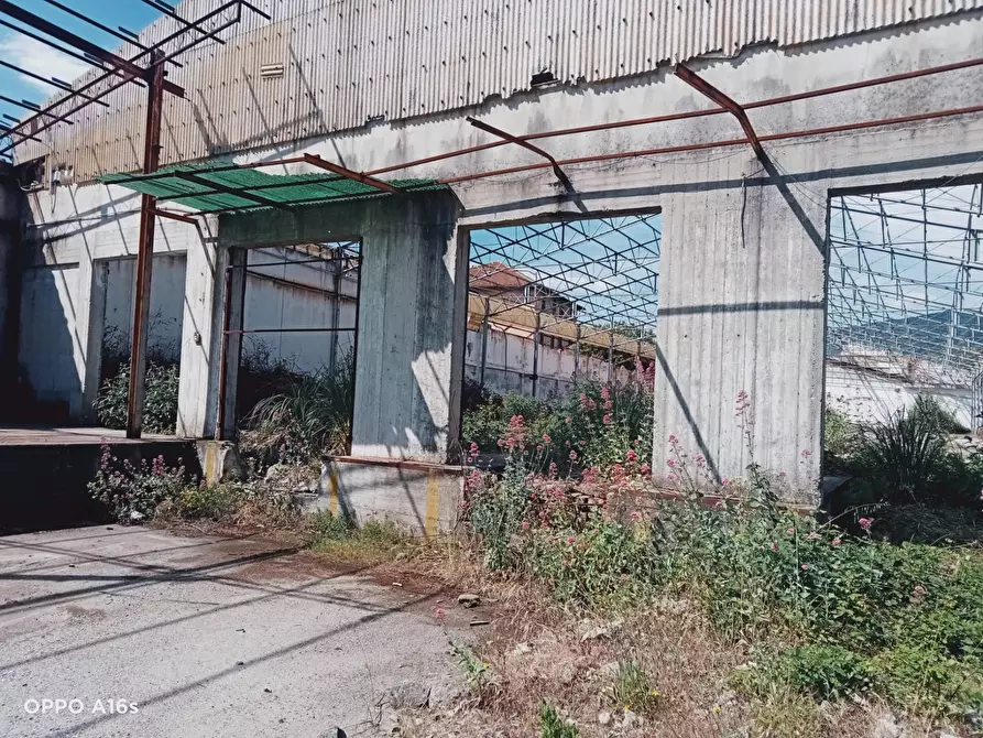 Immagine 9 di Capannone industriale in vendita  in via sardorella a Genova