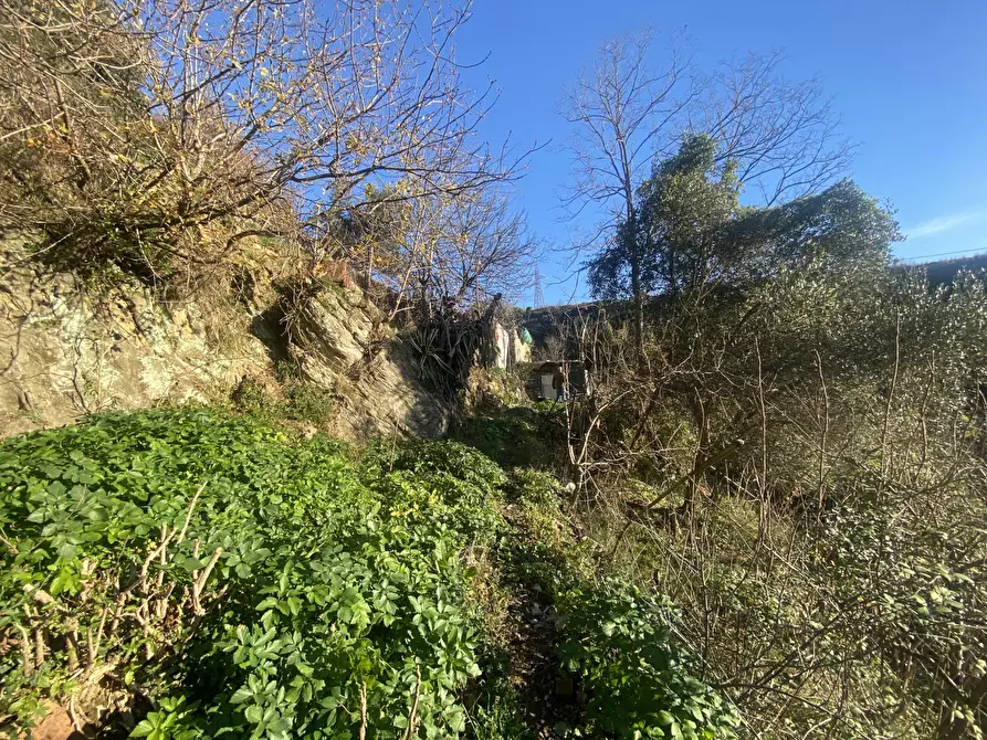 Immagine 7 di Villa in vendita  in VIA BARTOLOMEO BIANCO a Genova