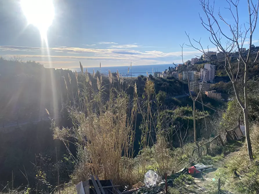 Immagine 10 di Villa in vendita  in VIA BARTOLOMEO BIANCO a Genova